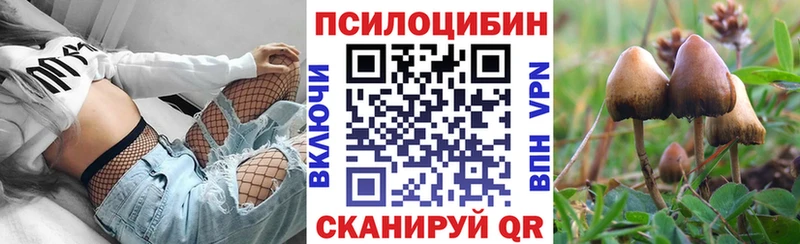Галлюциногенные грибы Psilocybe мориарти телеграм Пучеж